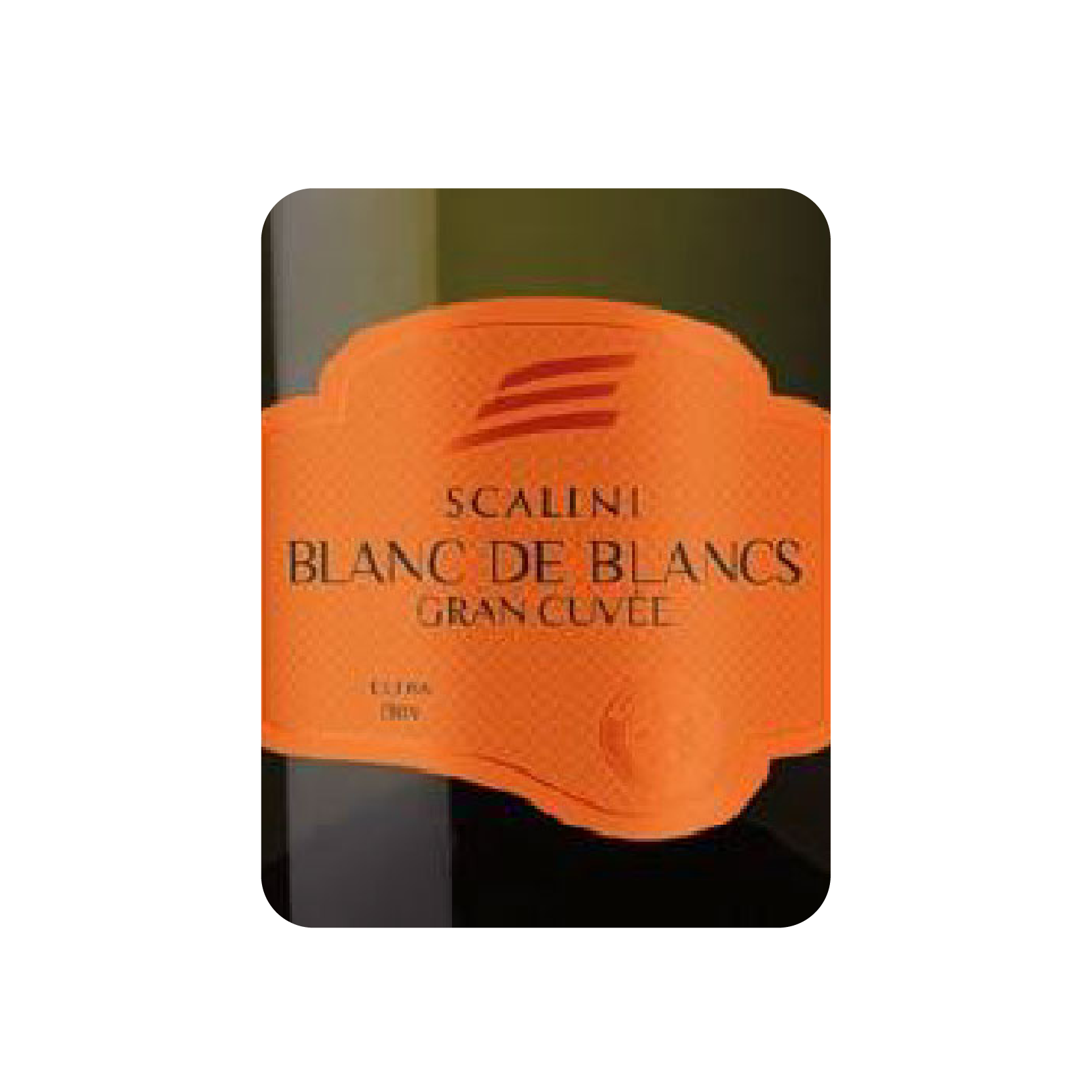 SCALINI Blanc de Blancs Gran Cuvee Extra Dry
