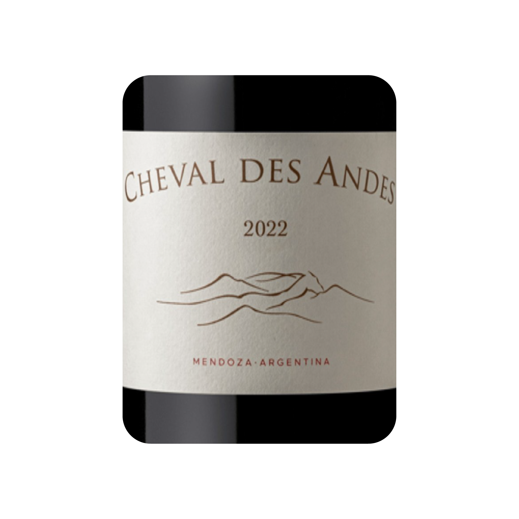 CHEVAL DES ANDES Mendoza